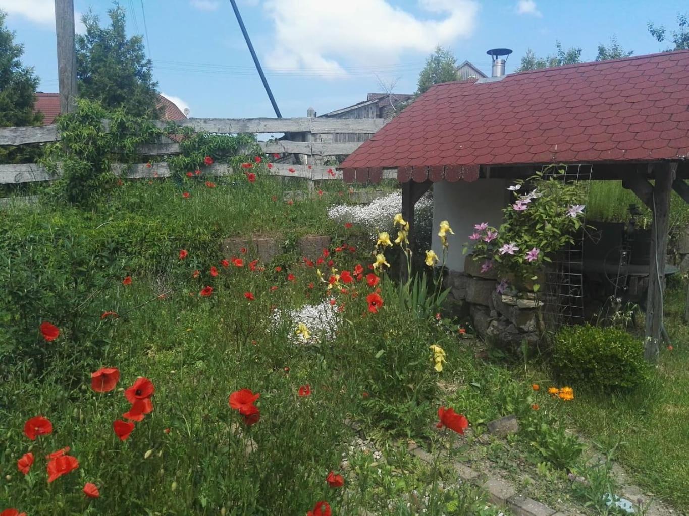 Gaestehaus Zum Gesundheitszentrum Matz Sulzdorf an der Lederhecke Eksteriør billede