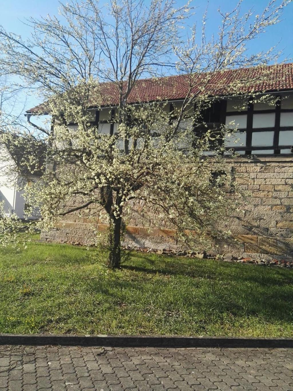 Gaestehaus Zum Gesundheitszentrum Matz Sulzdorf an der Lederhecke Eksteriør billede